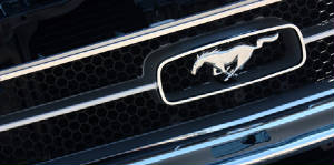 MustangGrill-7993-Web.jpg