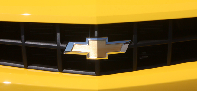 BumbleBeeBowTie-7914-Web.jpg