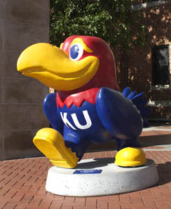 Jayhawk_5171-Web.jpg