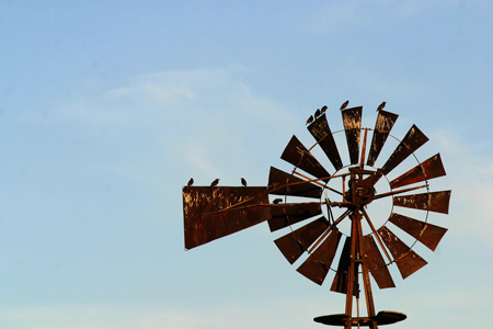 Windmill3772-Web.jpg